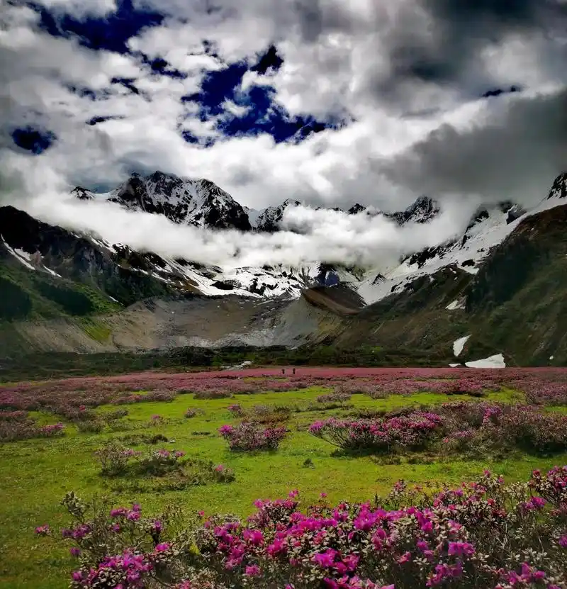隆拉雪山,位于西藏自治区林芝地区墨脱县—波密县交界地带