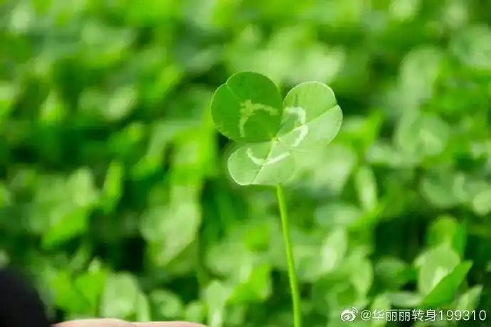 没有故事,没有你今天听了一首喜欢的歌,分手快乐