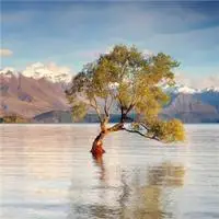 好看 吉利 招财的风景头像_微信头像图片大全