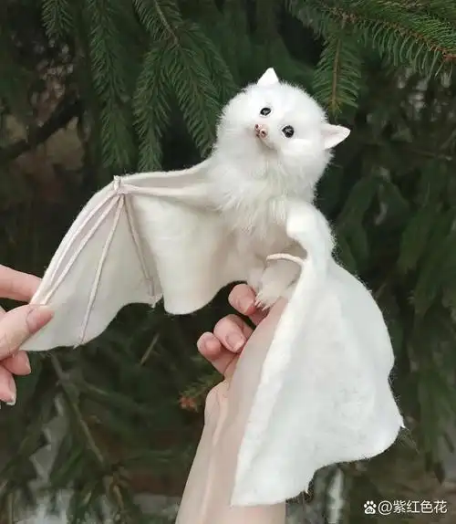 刚做好了几个白色的小蝙蝠玩具,除了鼻子以外,其实小蝙蝠还是挺可爱的