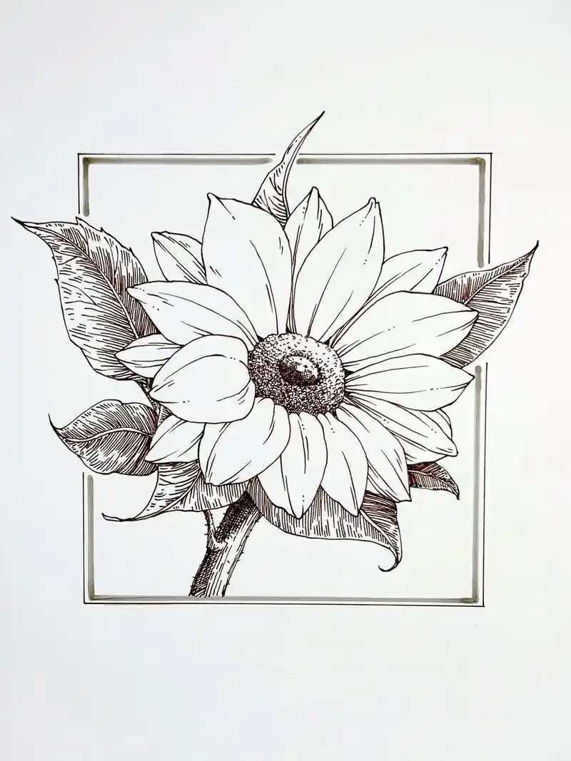 黑白画必看的排线方法和技巧.在针管笔画训练中,线条是塑造对象 - 抖