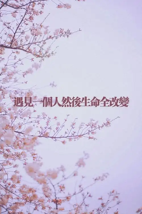 温暖的存在唯美治愈系手机壁纸图片