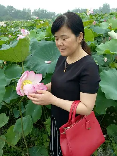 手捧醉人的荷花