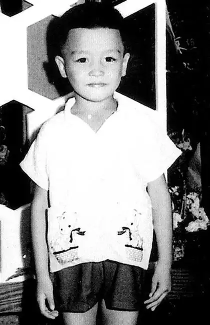 p>张国荣(1956年9月12日-2003年4月1日),出生于香港,中国香港男歌手