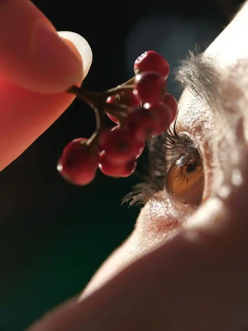 大特写也太绝了!没修完就忍不住分享给你们的特写照片 #摄影 - 抖音