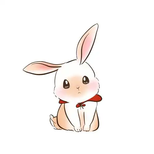 兔子视频素材-兔子视频模板下载-觅知网