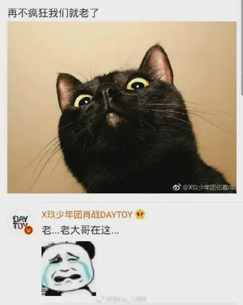 早期的一些可爱的肖·表情包富翁·战