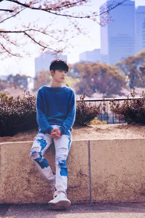 肖战–日系樱花照