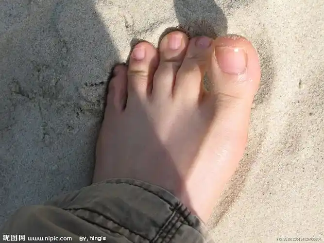 美脚图片