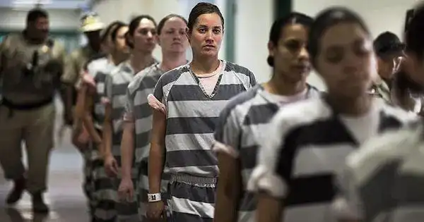 越来越多的吸乳器被走私进美国监狱,这是为啥