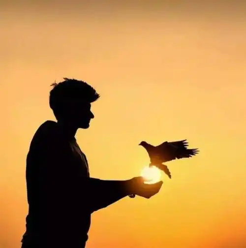 是一丝丝的孤独