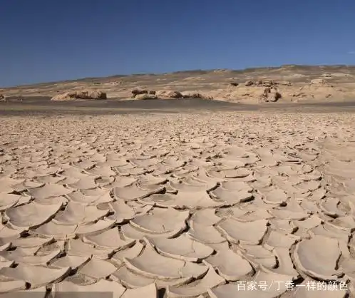 罗布泊,被誉为"地球之耳"!