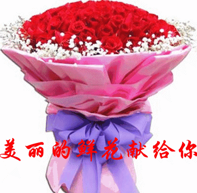 400_393gif 动态图 动图