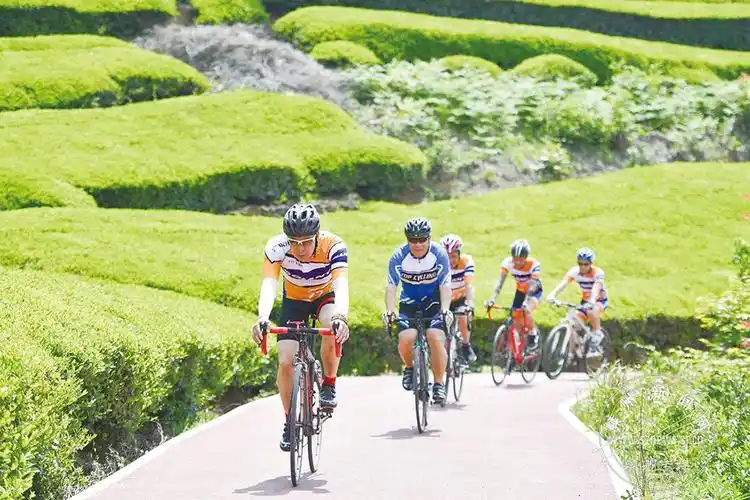 警惕:骑单车健身虽好,但超过1小时反而会增加额外危害