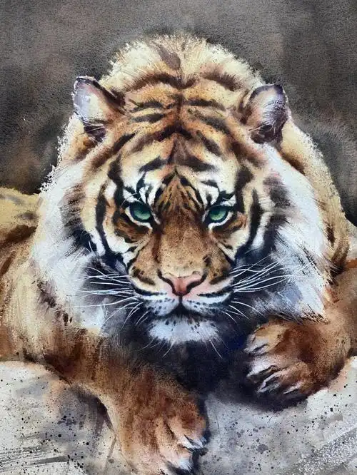 怎么画一只霸气的老虎,它一定要强壮,身手敏捷!眼神带有有杀气!