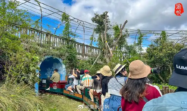 美好假期尽在廊氡