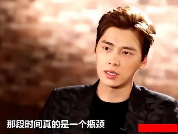 李易峰这个名字也逐渐不再响亮,沦为过气明星的行列.