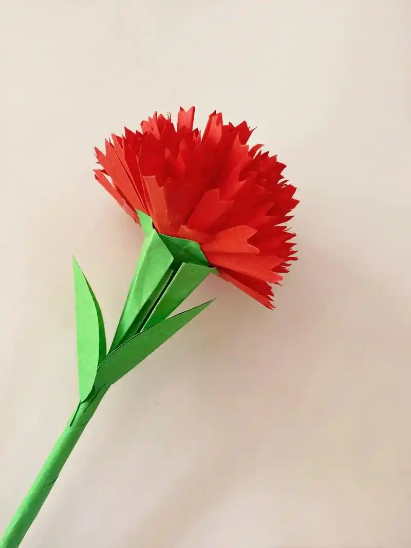 康乃馨折纸教程来了,以花做礼,感谢有你.康乃馨寓意着爱,关怀 - 抖音