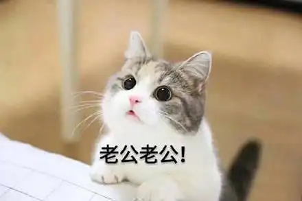 想老公表情包合集|老公在哪,我想你了__财经头条