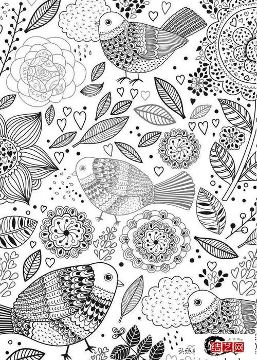 每天学一幅简笔画鸟儿主题类线描简笔画太精致实用了