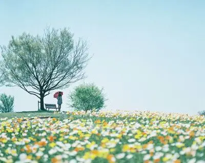 小清新 小生活 小治愈 唯美温暖系 mr.冯 拿图点赞