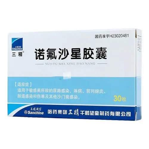 哈药 诺氟沙星胶囊 0.