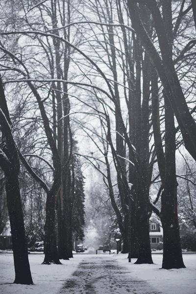 400_600竖版 竖屏gif 动态图 动图