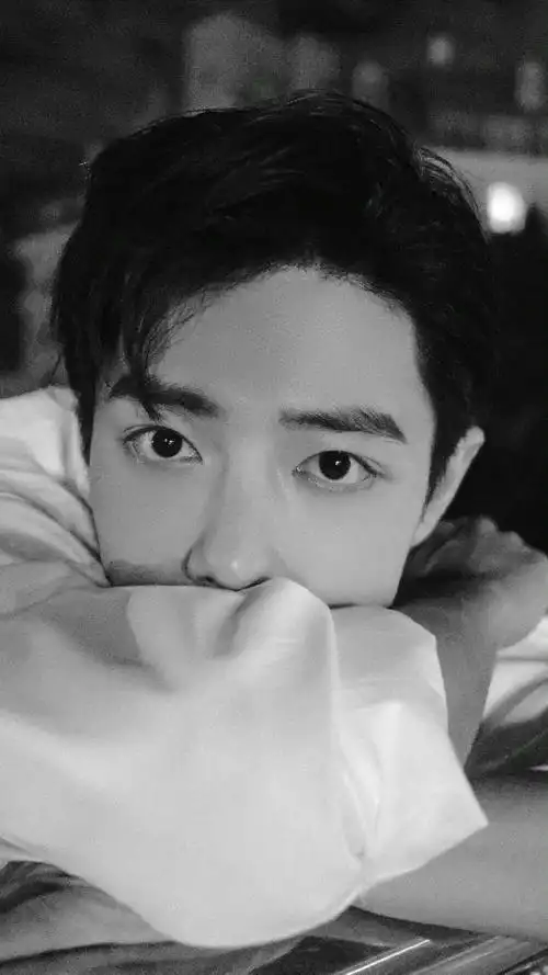 肖战养的猫,跟他一起的时候,眼神要多高冷有多傲娇,全都十成十.