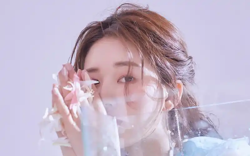 赵露思优雅迷人写真桌面壁纸