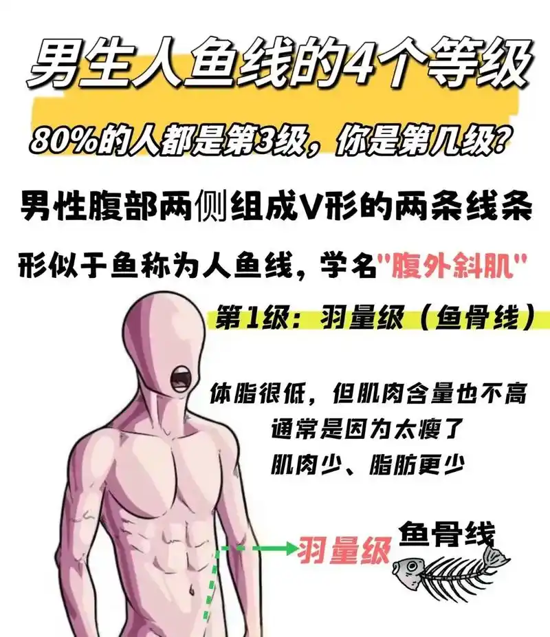 男生人鱼线的41566个等级,你是哪一个?
