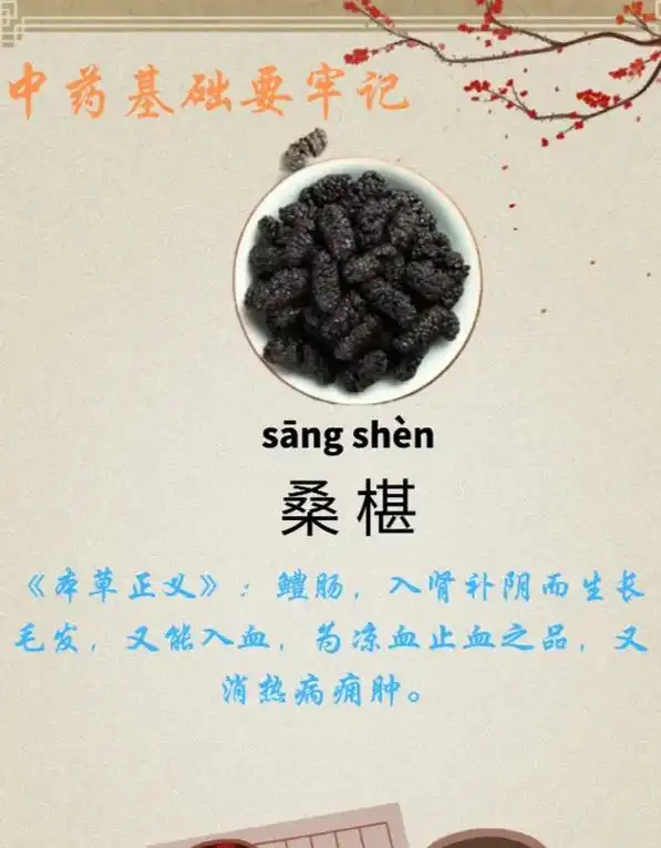 4类人群不宜吃桑葚.桑葚是一种美味又营养丰富的水果,越来越多 - 抖音