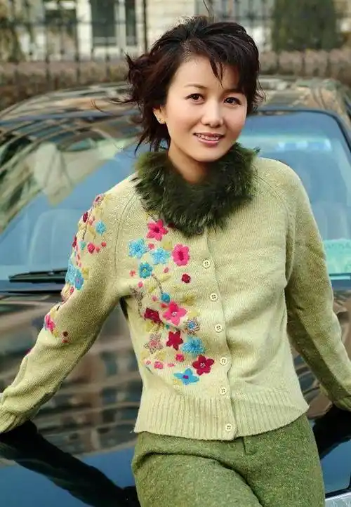 杜志国:与杨丽分手后,又结了2次婚,杨丽一直单身照顾儿子杜淳_婚姻