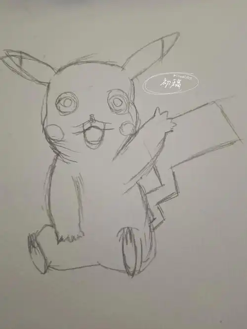 一只皮卡丘的诞生