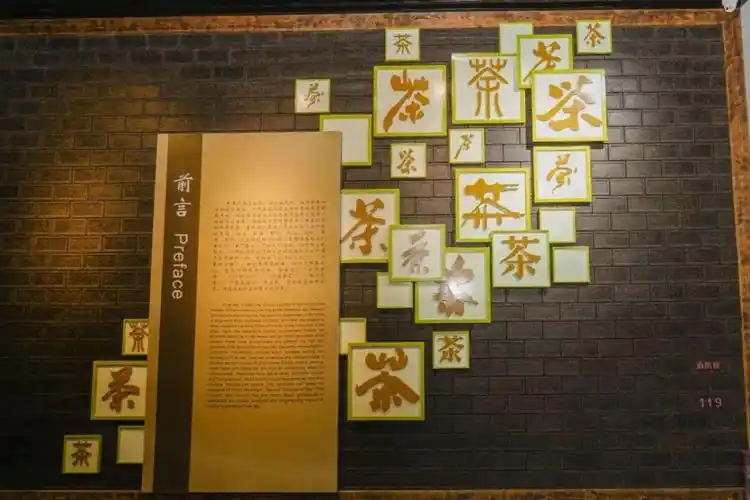 普洱茶视界丨普洱有个普洱茶博物馆居然很多人都不知道意想不到的有料