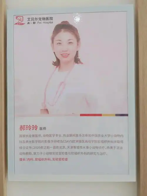 笔记灵感  我们家的小狗在狗市上买的,买来后第