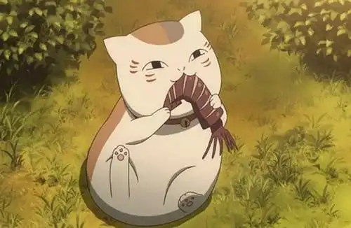 夏目友人帐珍藏致亲爱的猫咪老师