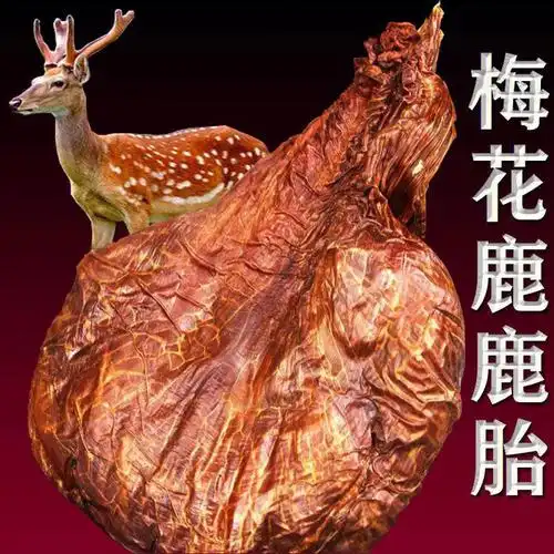 女性必备抗斑美容养颜的妇科之宝鹿胎