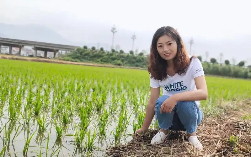 暴雨过后90后农村媳妇大早上着急忙慌跑自家田里看秧苗,变化真大