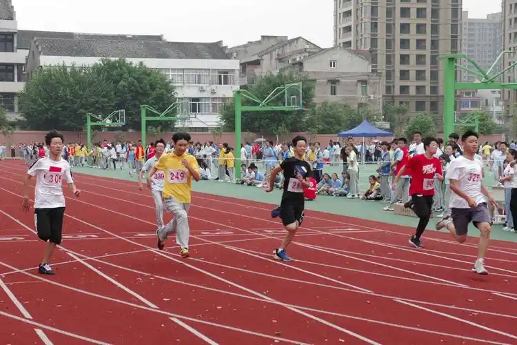 汀田一中2019运动会2