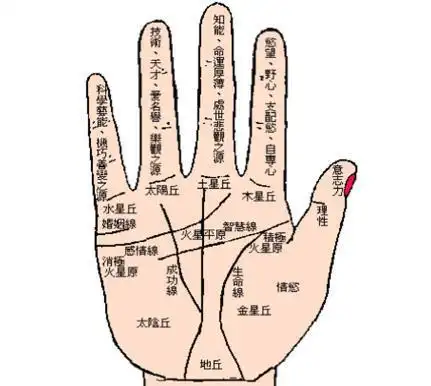 手相怎么看财运-宝宝起名网