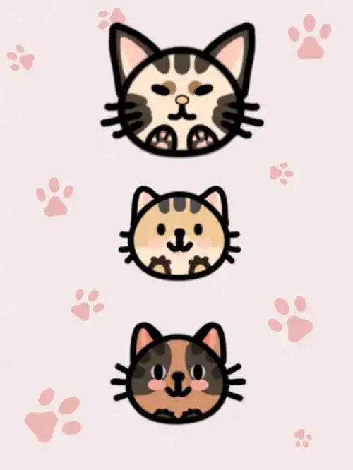 超简单简笔画60自己给猫猫定制卡通形象