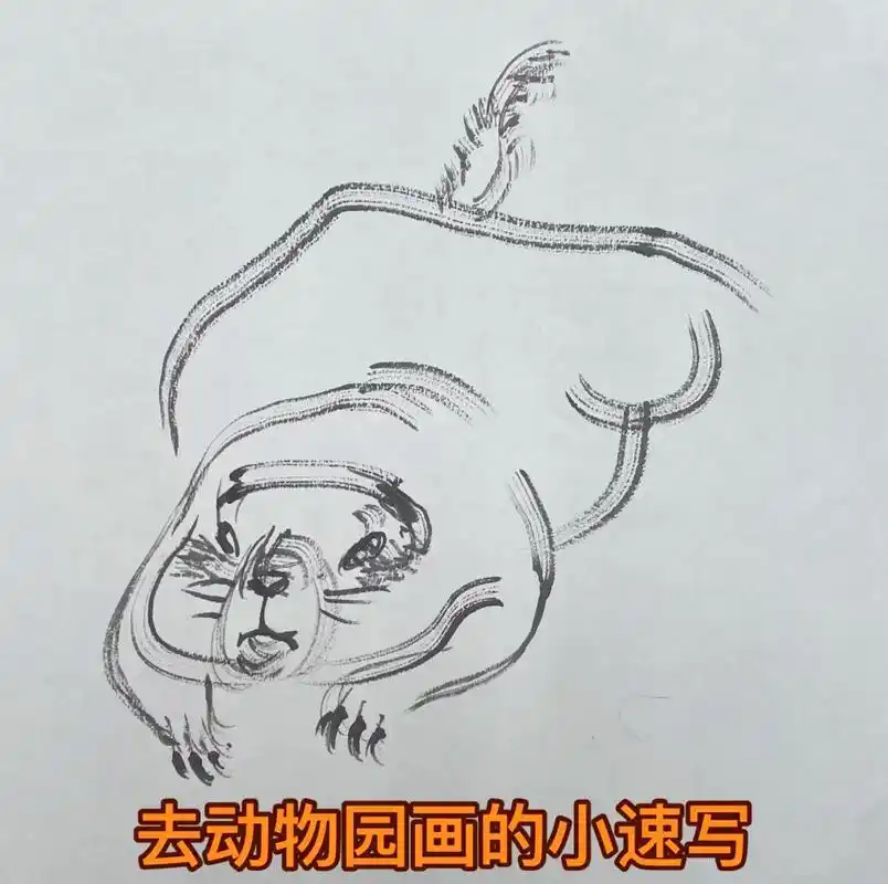 去动物园画的小速写.#画画 #手绘 #简笔画 #乱涂乱画系列 - 抖音