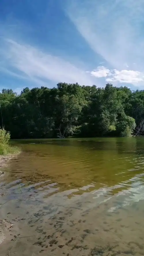 沙漠泉眼,你感觉美不美?