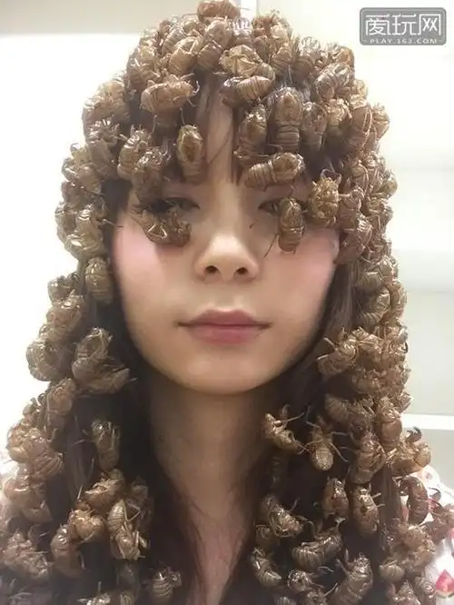 每日一雷血槽已空的兔女郎节