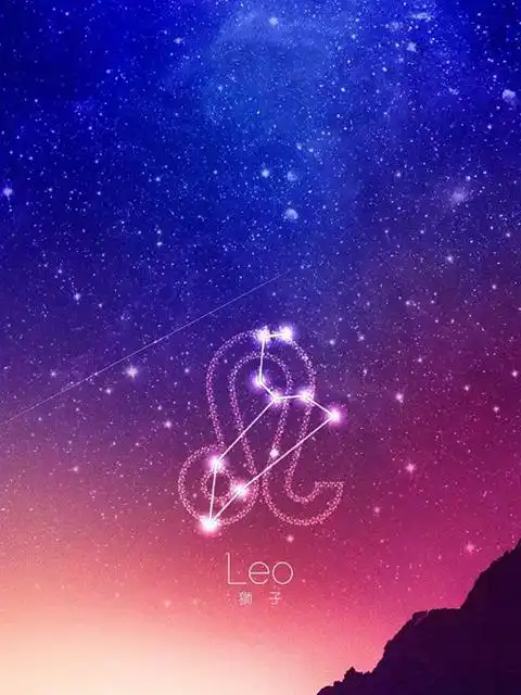 十二星座超美星空图片