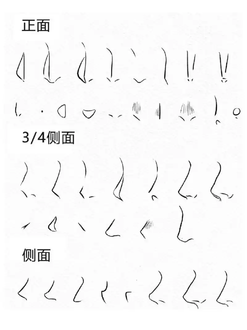 适合新手小白学习的鼻子画法