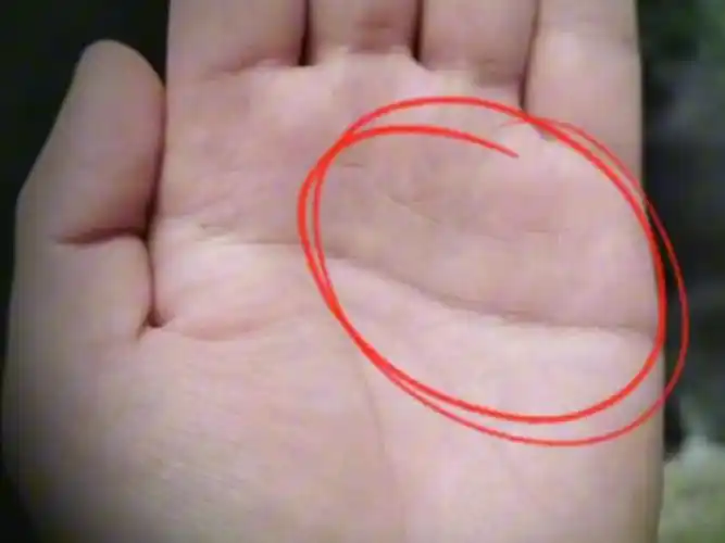 感情线上锁链纹密集的男人