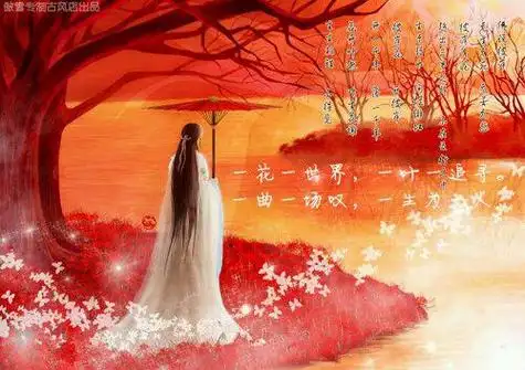 精美古诗词 一花一世界,一叶一追寻