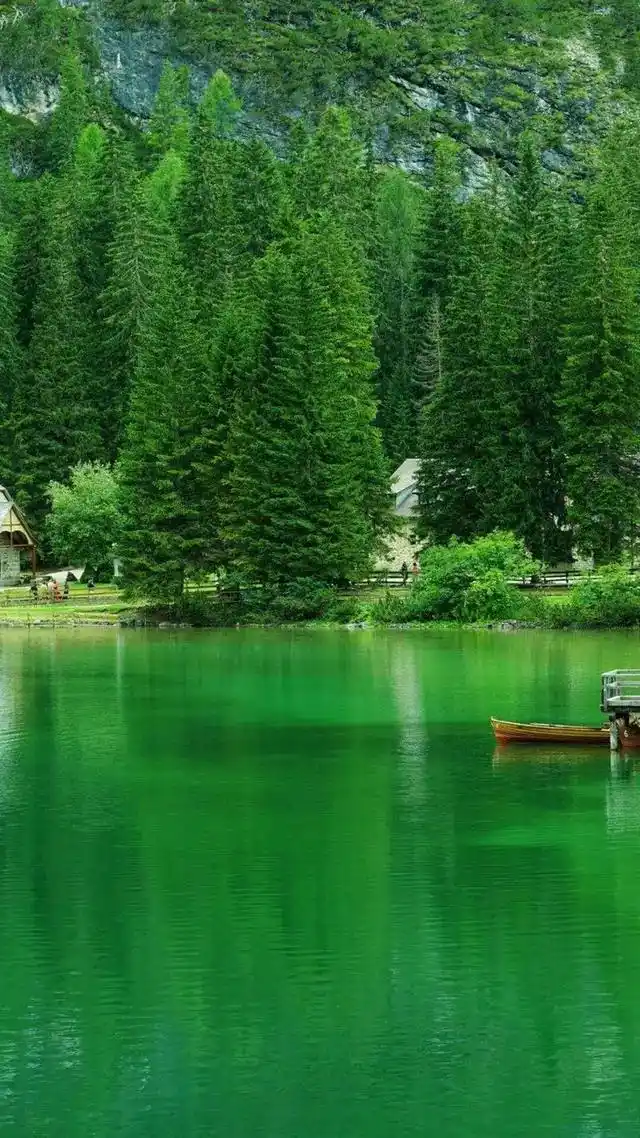 《绿色护眼》清新护眼壁纸送给你要对自己眼睛好一点