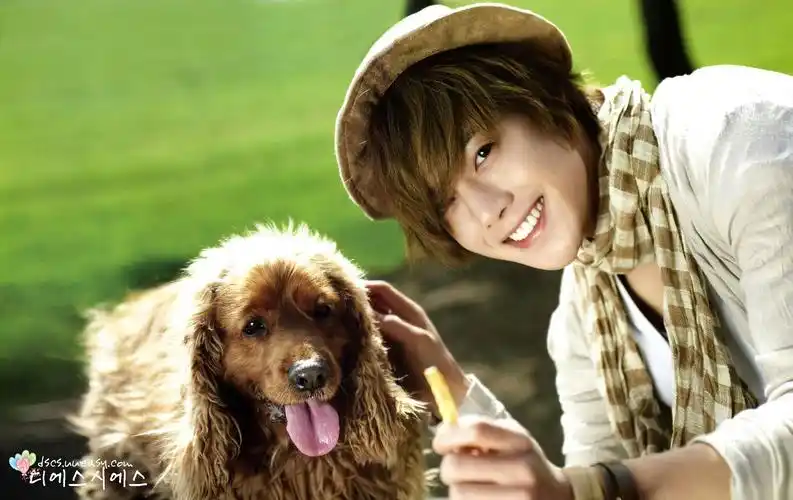 今天电脑重装了下 我的贤重的桌面就这么不见了 那